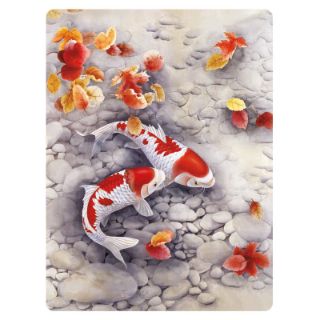 Obrázek z Pohlednice 3D 16cm - kapr Koi (25) 